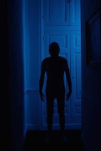 خانه‌ی هوس‌های خشونت‌آمیز