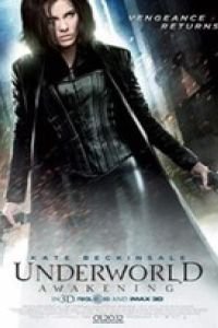 dniai zirin bidari 2012