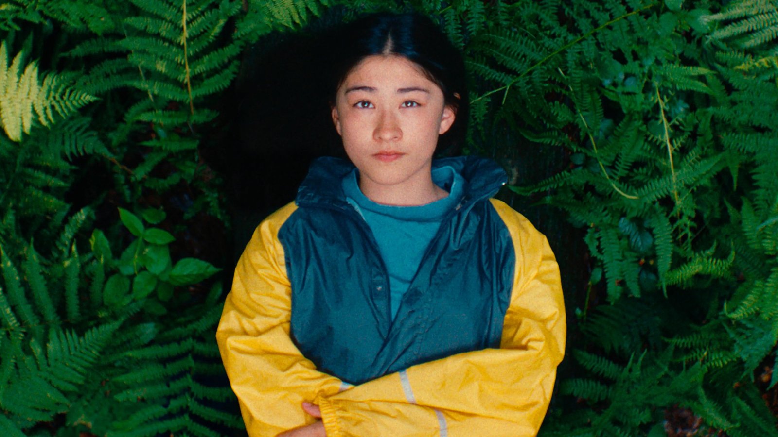 برگ‌های نرم